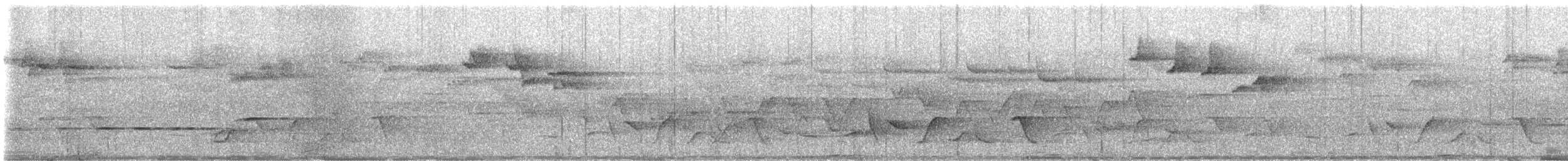Sulawesi Fantail - ML640951847