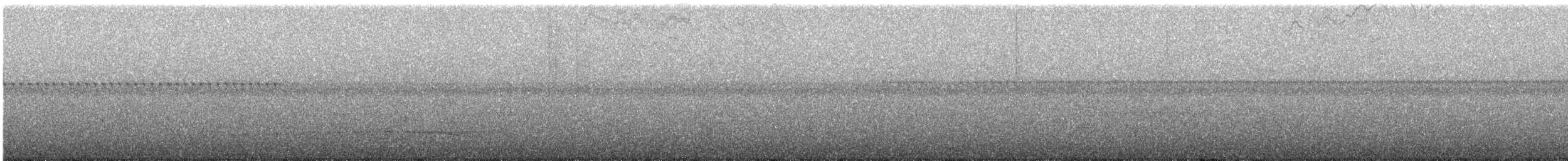 Chouette leptogramme - ML640952830