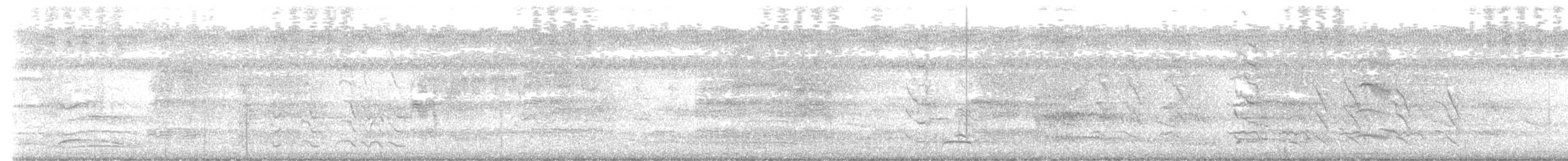 Tropical Shearwater - ML640953090
