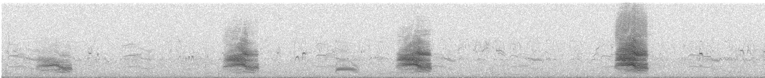 Caspian Tern - ML640953326