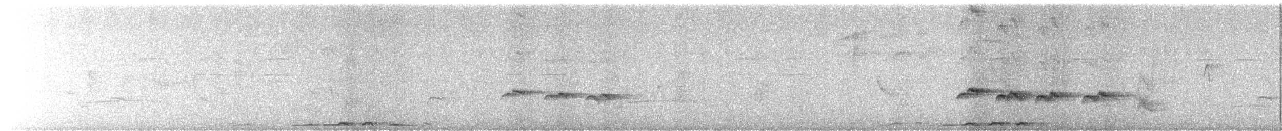 White-browed Scrub-Robin - ML640954870