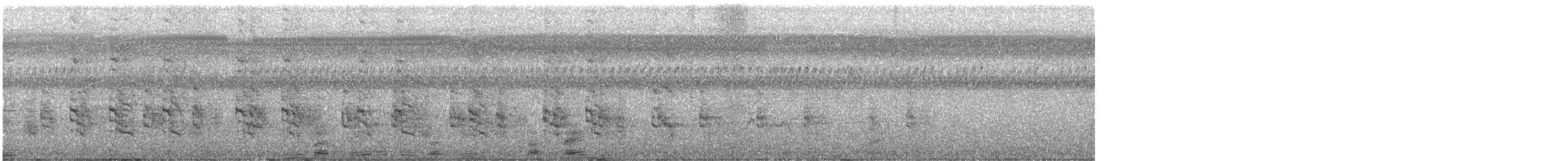 Râle à collier - ML640955935