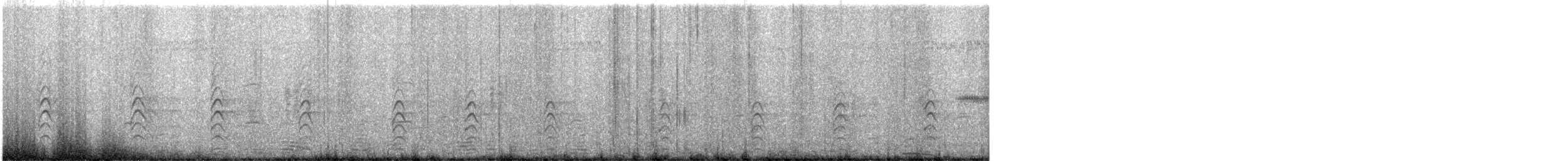 オーストラリアセイタカシギ - ML640956709