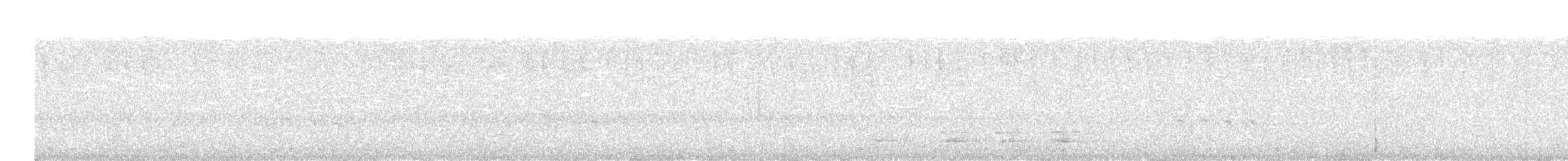 Tacchino selvatico - ML640957809