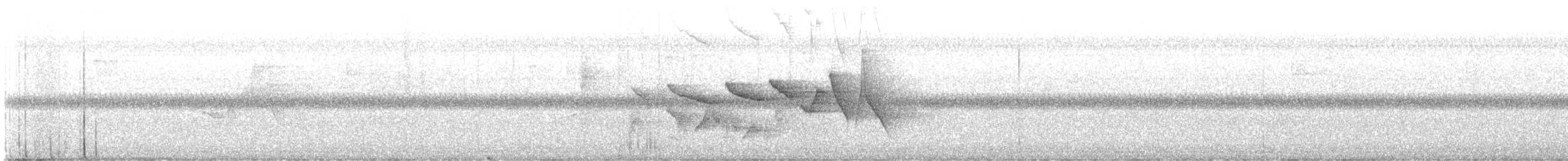 チャカブリアメリカムシクイ - ML640958133