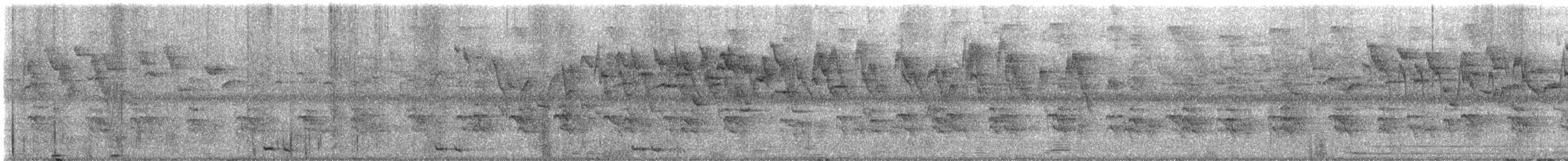 Bengalenkuckuck - ML640958209