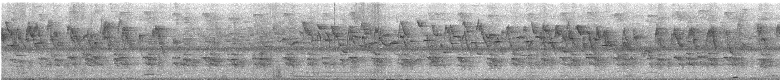 Râle à collier - ML640958212