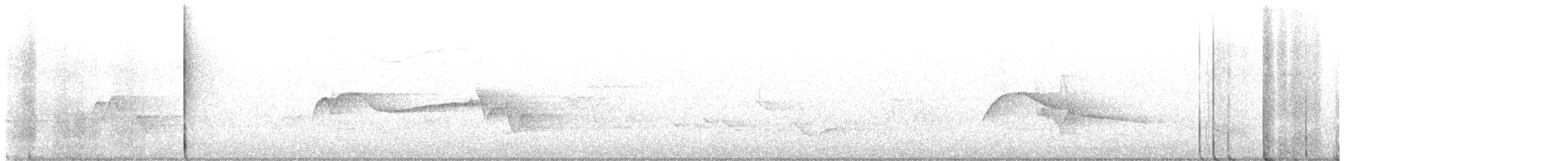 Eastern Wood-Pewee - ML640958438