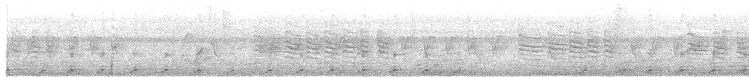 White-breasted Waterhen - ML640961955