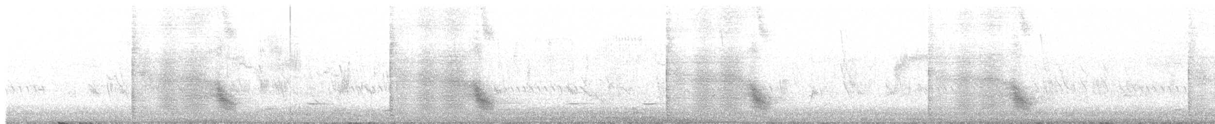 Southern Boubou - ML640962494