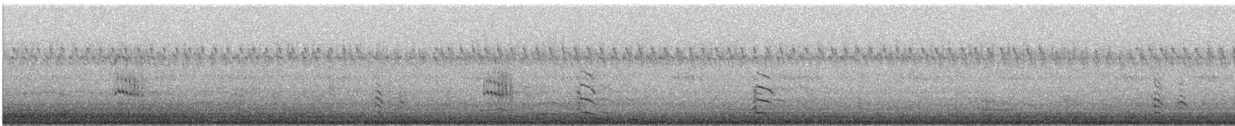 bird sp. - ML640965588