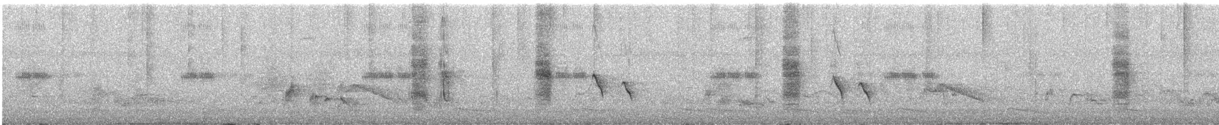 ホオジロヒヨドリ - ML640965649