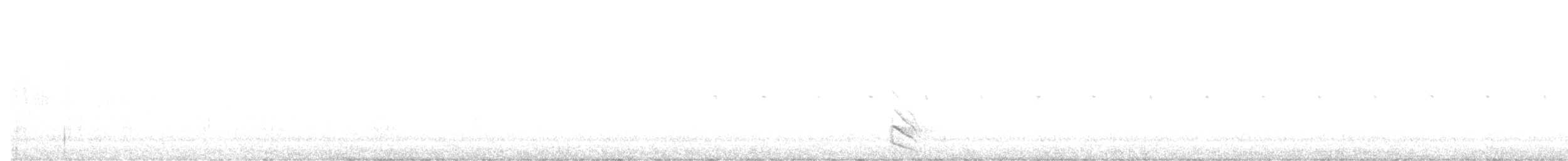 Australian Owlet-nightjar - ML640968620