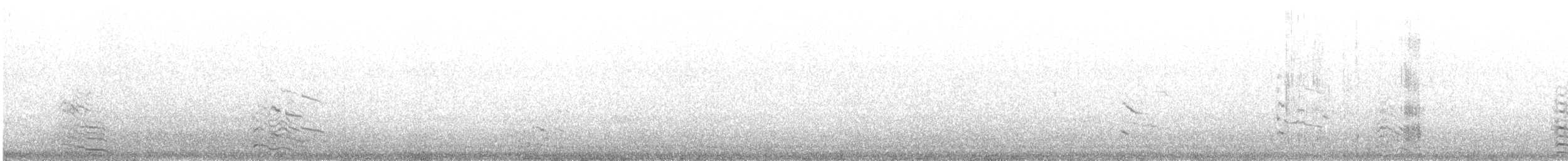 שחף ימי - ML640970879