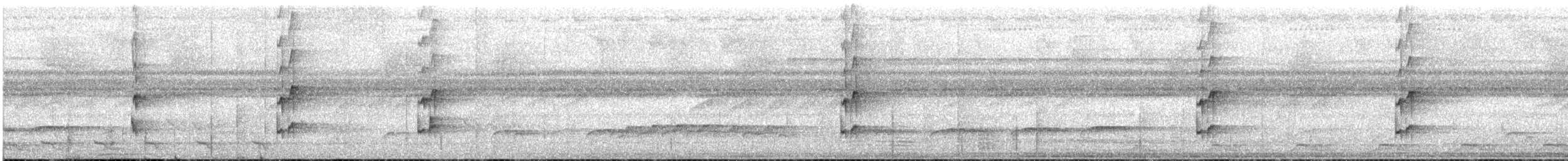 White-bellied Tody-Tyrant - ML640971058