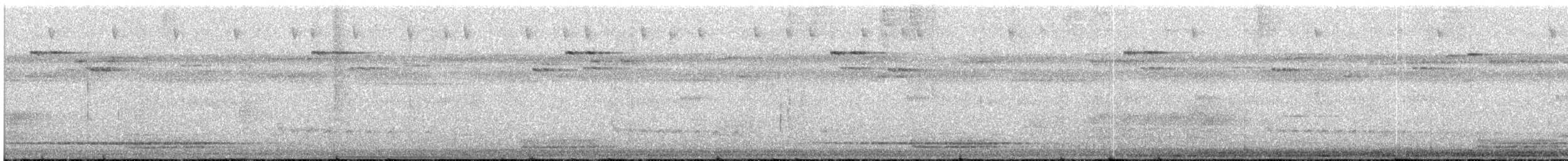 Gray Tinamou - ML64097531