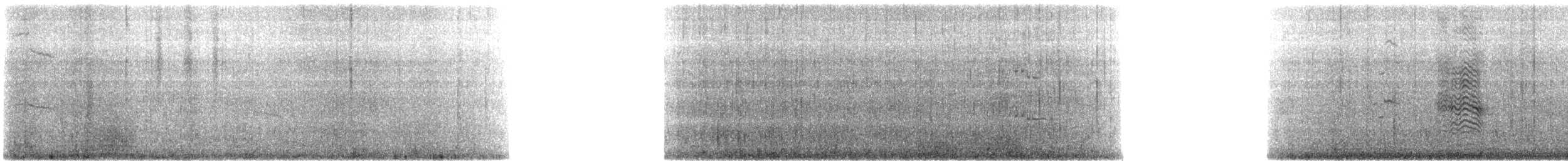 Inca Tern - ML640977400