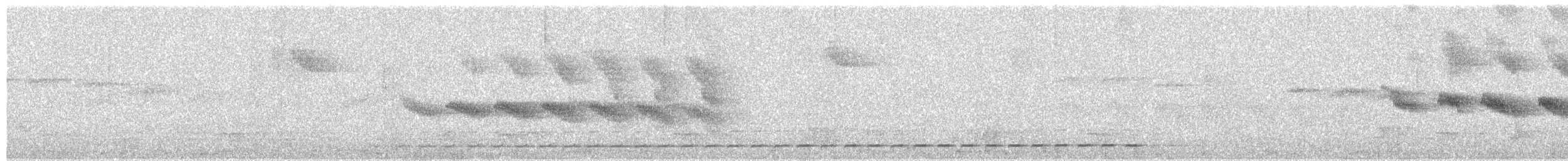 Such's Antthrush - ML640978720