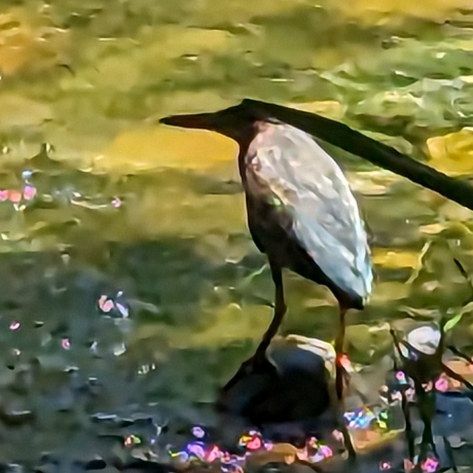 Green Heron - ML640978807