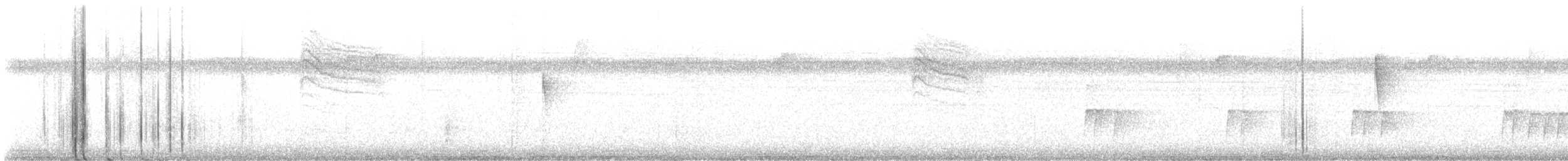 チャバラマユミソサザイ - ML640981118