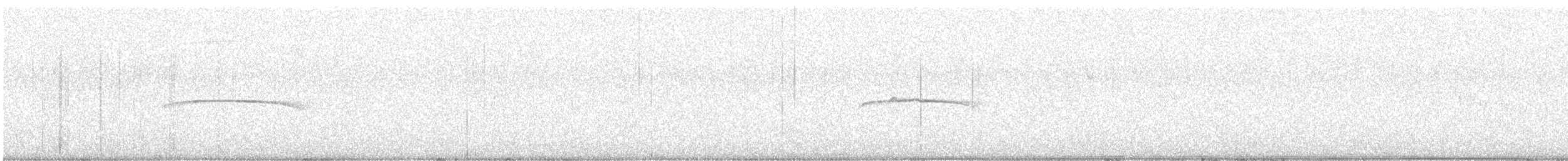 Patagonian Tyrant - ML640981757