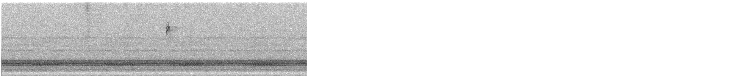 Townsend's/Hermit Warbler - ML640982696