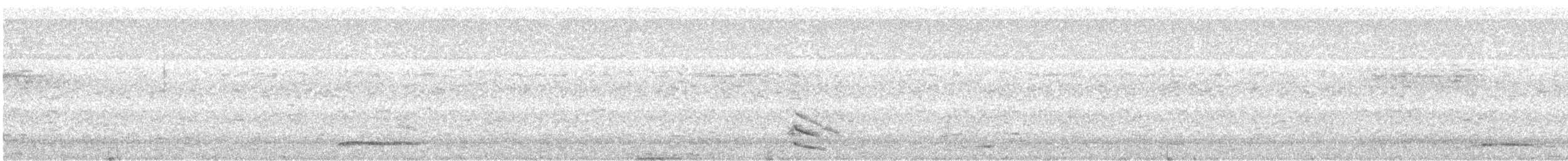 Australian Owlet-nightjar - ML640983330