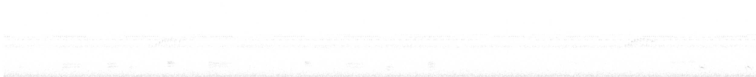 Mato Grosso Antbird - ML640985330
