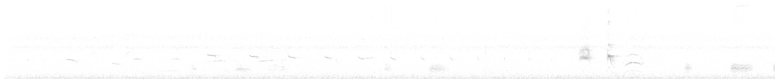 Mato Grosso Antbird - ML640985331
