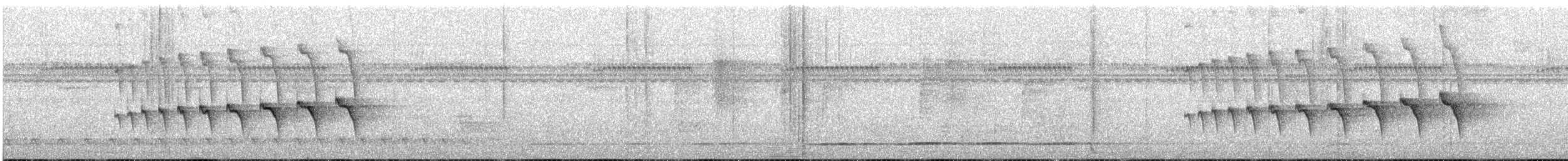 Black-throated Antbird - ML640985394