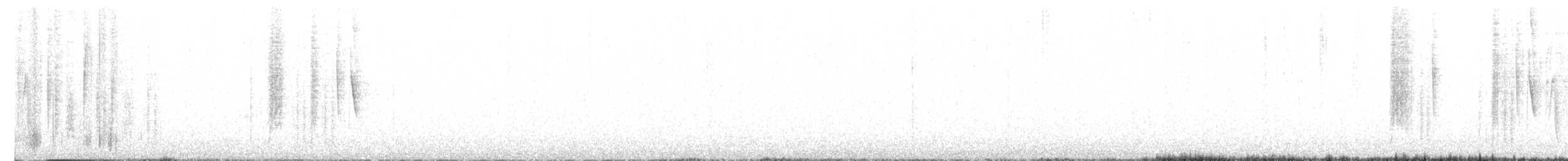 Red-tailed Comet - ML640985708