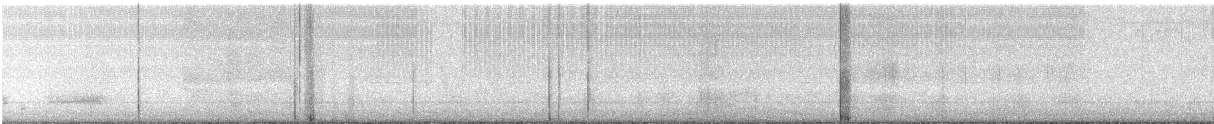 American Barn Owl - ML640985813