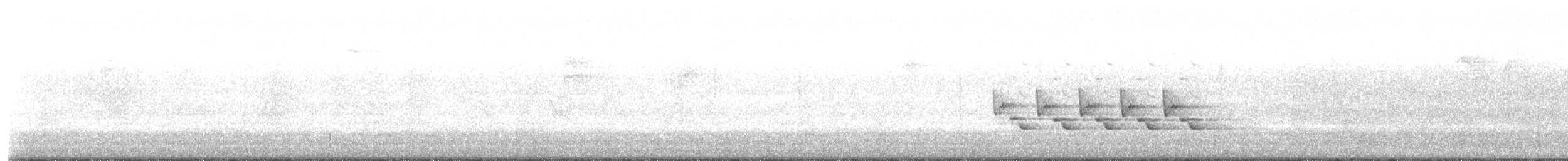 Carolina Wren - ML640987723