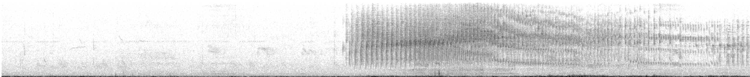 flekkbryststifthale - ML640989397