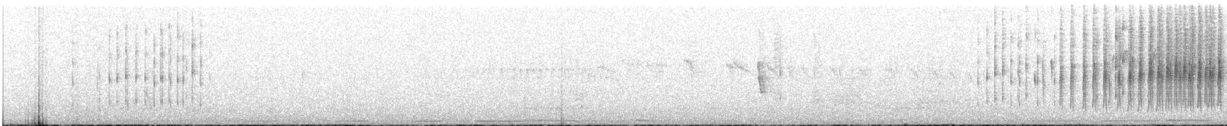 flekkbryststifthale - ML640989701