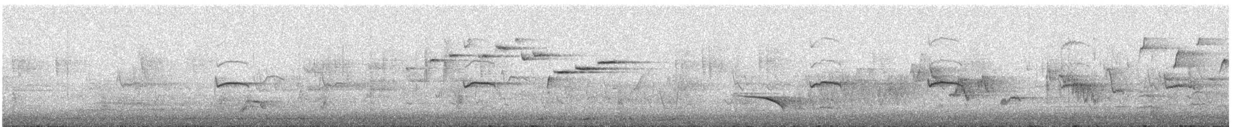 Silvereye - ML640994935