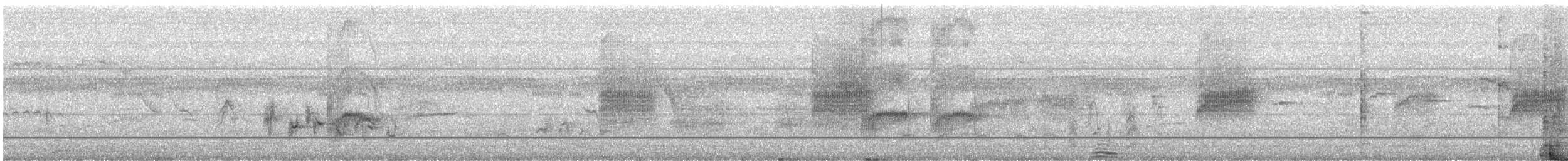 Slaty-headed Parakeet - ML640995406