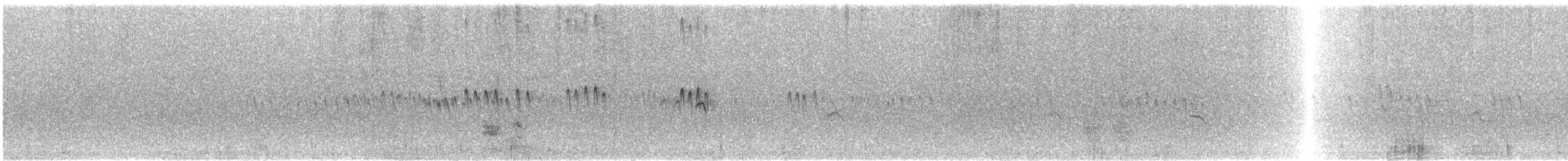 Bécasseau de Temminck - ML640997413