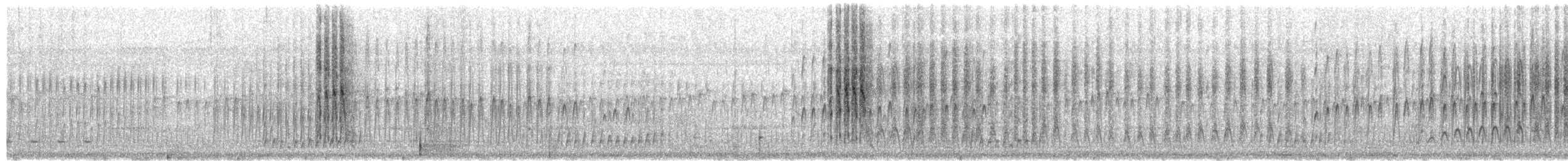 Sladen's Barbet - ML641000693
