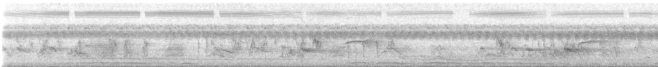 Зээрд хүүрзгэнэ - ML641001837