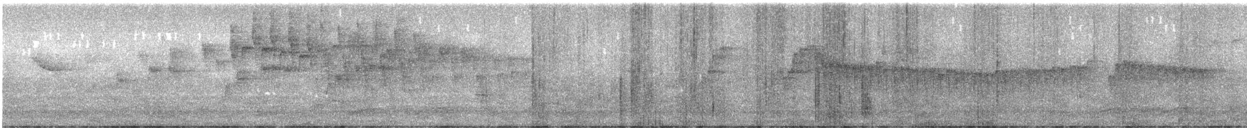 Noisy Pitta - ML641002215