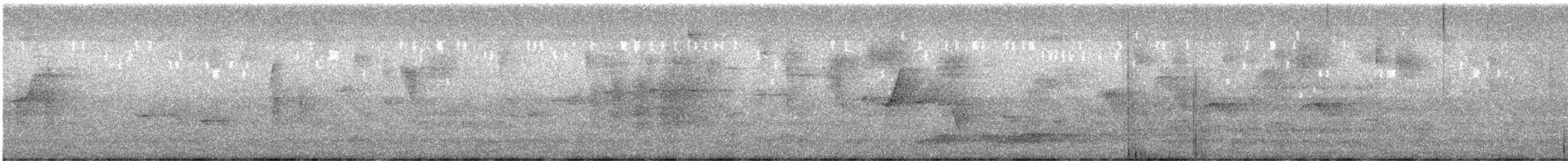 Noisy Pitta - ML641002219