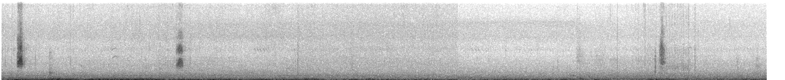 チュウジシギ - ML641004135