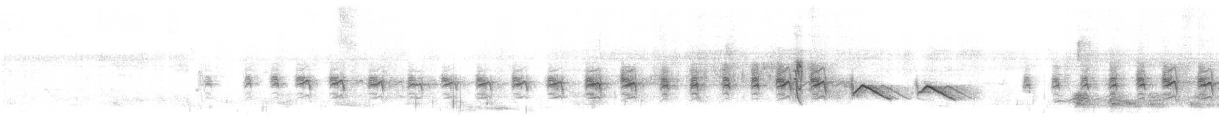 Gray-eyed Greenlet - ML641004189