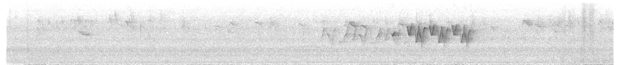 ヒマラヤムシクイ - ML641005359