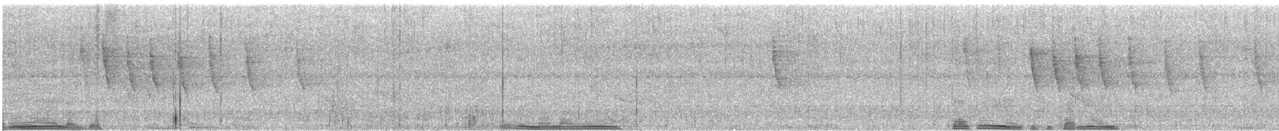 Brown Violetear - ML641006732
