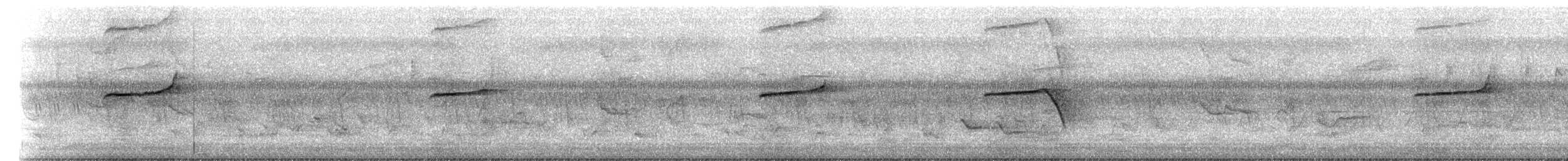 Oriental Magpie-Robin - ML641007322