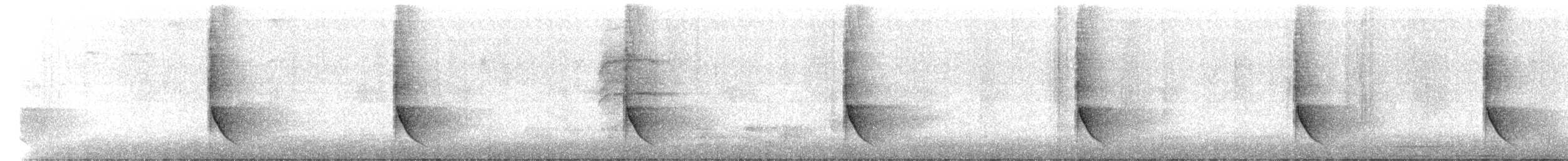 Black-backed Puffback - ML641007625