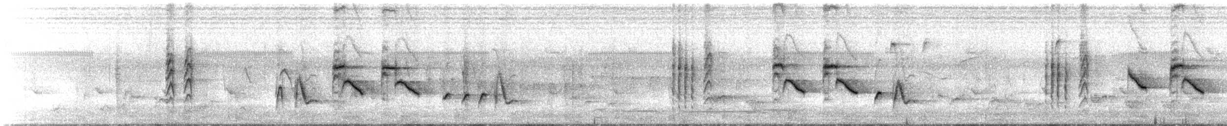 White-browed Scrub-Robin - ML641007675