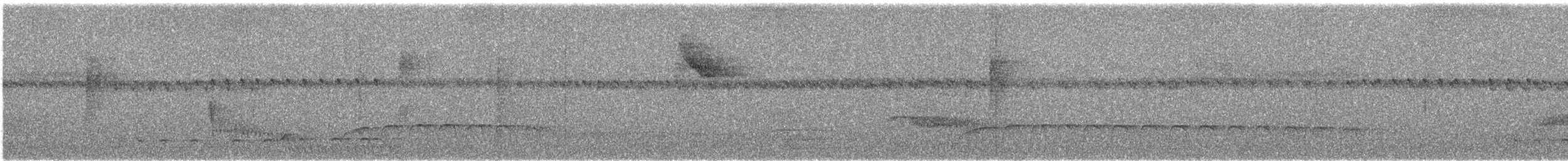 Wing-barred Piprites - ML641011668